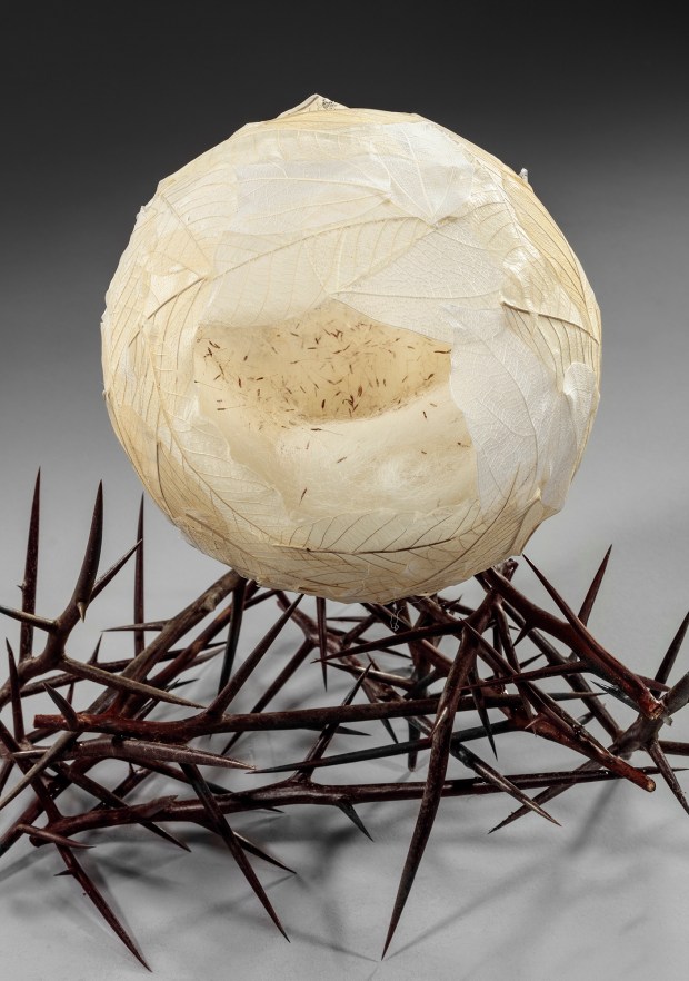 Learning To Say 'No' 9.5x12x12 detail