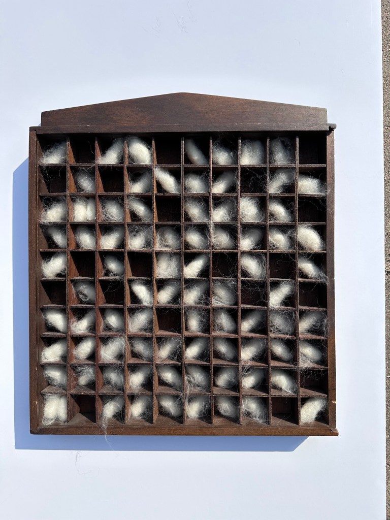 "Nidus" 17"x14.5"x2"